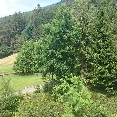 Waldblick Tonbach Lejlighed Baiersbronn Værelse billede