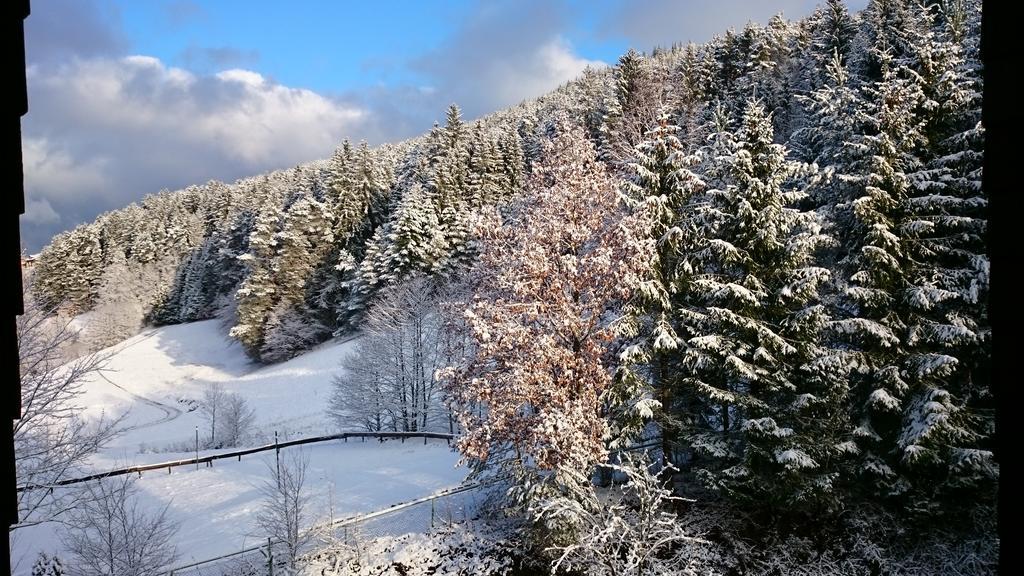 Waldblick Tonbach Lejlighed Baiersbronn Værelse billede