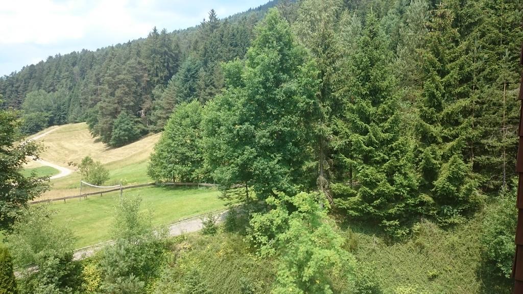 Waldblick Tonbach Lejlighed Baiersbronn Værelse billede