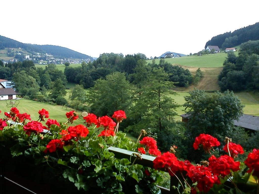 Waldblick Tonbach Lejlighed Baiersbronn Værelse billede